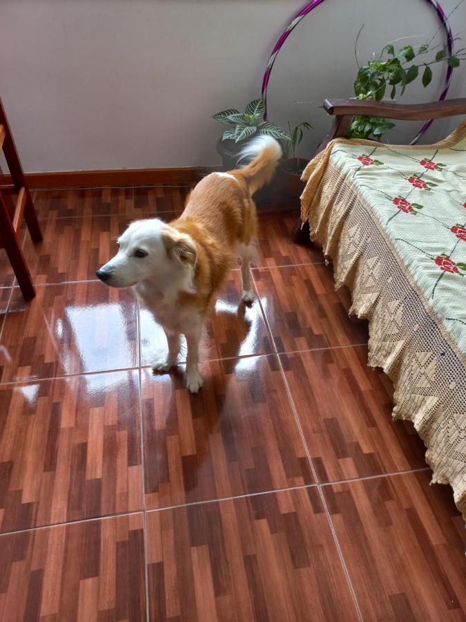 Quarto Individual Na Ary Parreiras Niterói Екстериор снимка